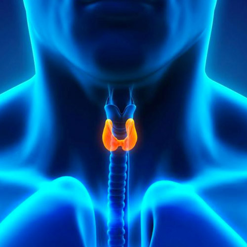 thyroid-cysts-2